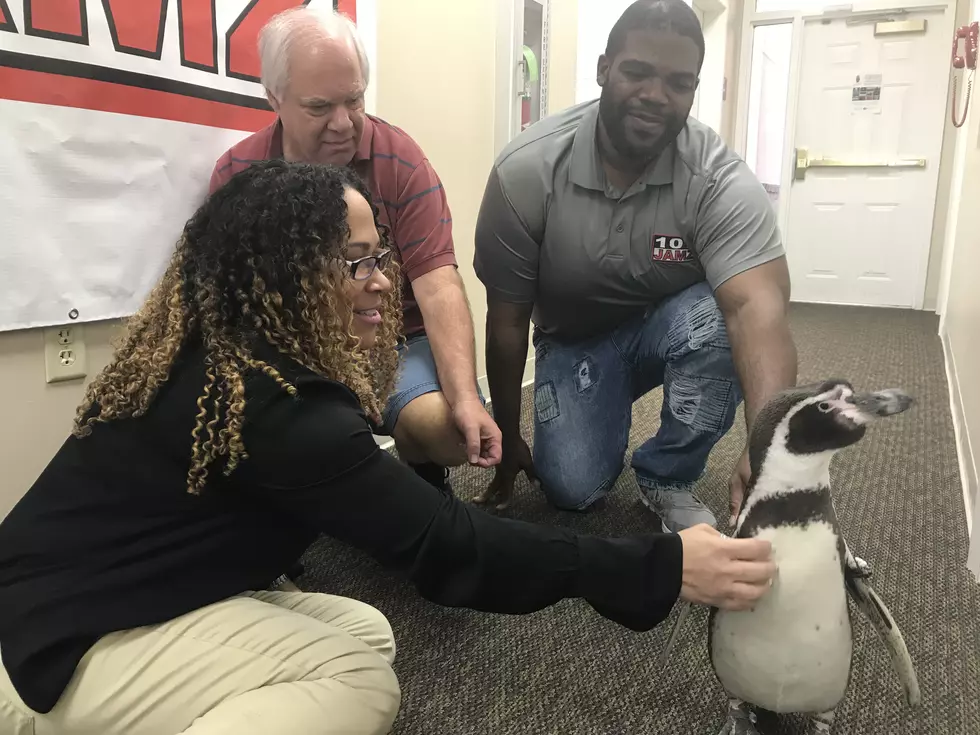 Moody Gardens Came By With San Juan The Friendly Penguin