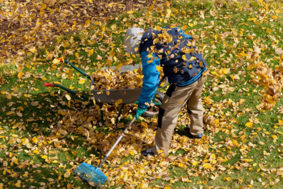 City of Lake Charles Wants Your Help Preparing for the Cleanest City Contest