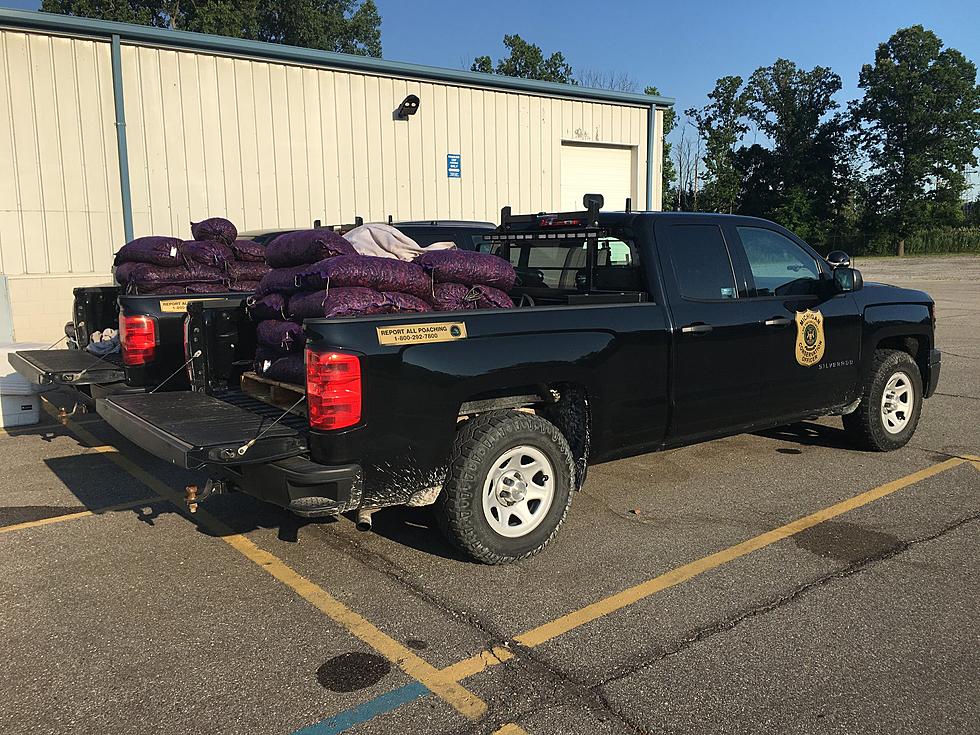 Truck Busted with 2,000 Pounds of Illegal Crawfish in Michigan