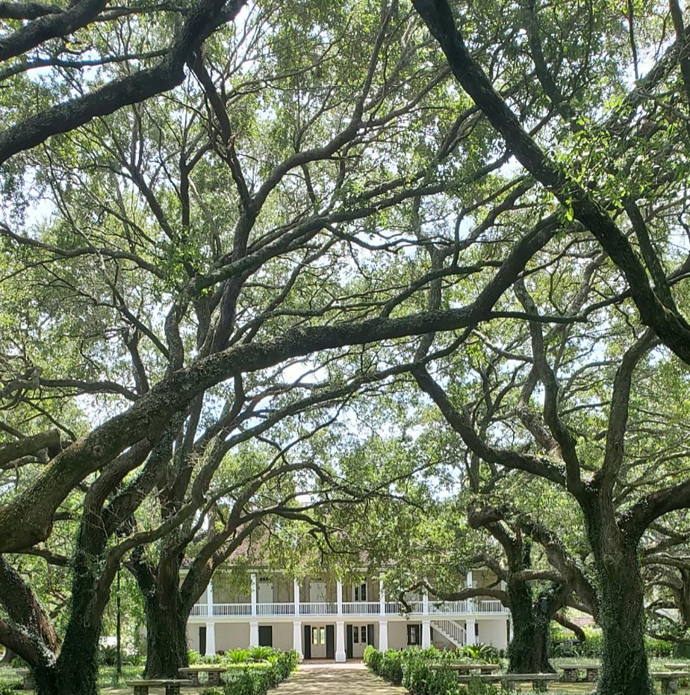 Whitney Plantation: Never Take Freedoms for Granted