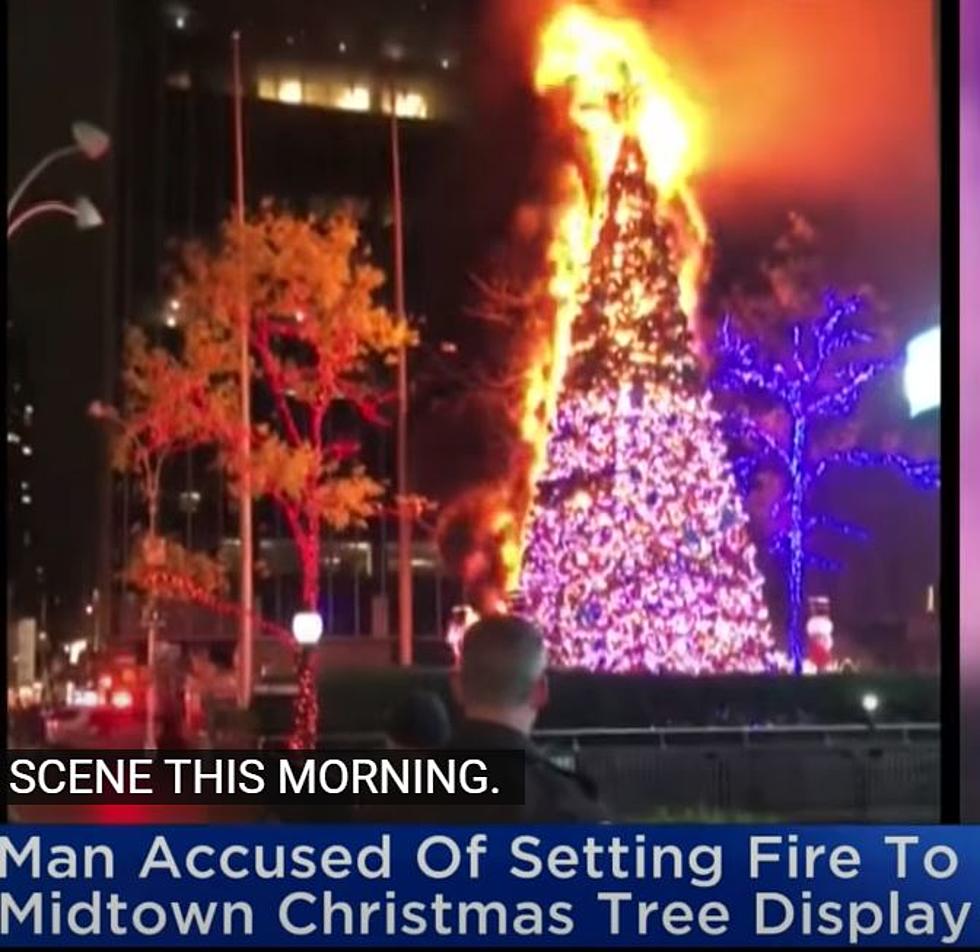 One Arrested After Setting Christmas Tree In New York Ablaze