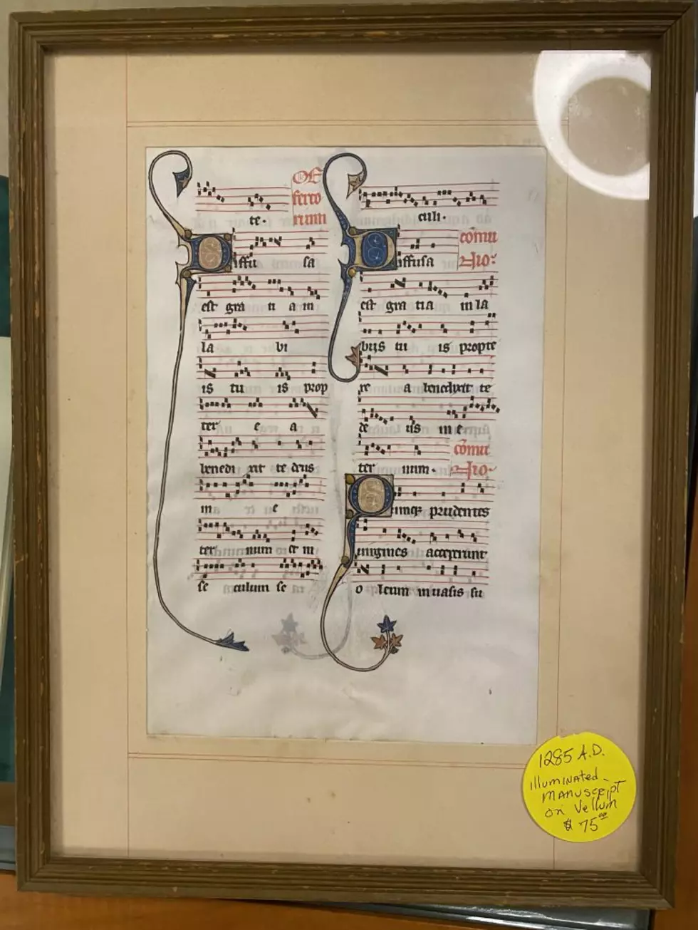 College Student Buys 700 Year Old Page Of Art At An Estate Sale!