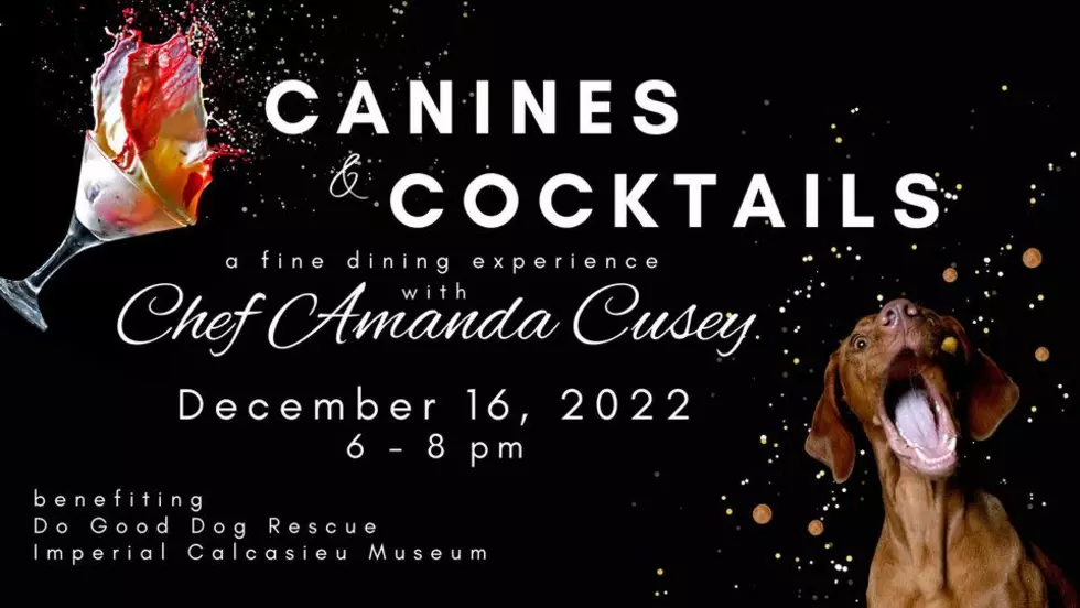 Join Us For Canines & Cocktails At The Lake Charles Paramount Room