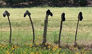 If You See A Cowboy Boot On A Fence Post, Don't Touch It