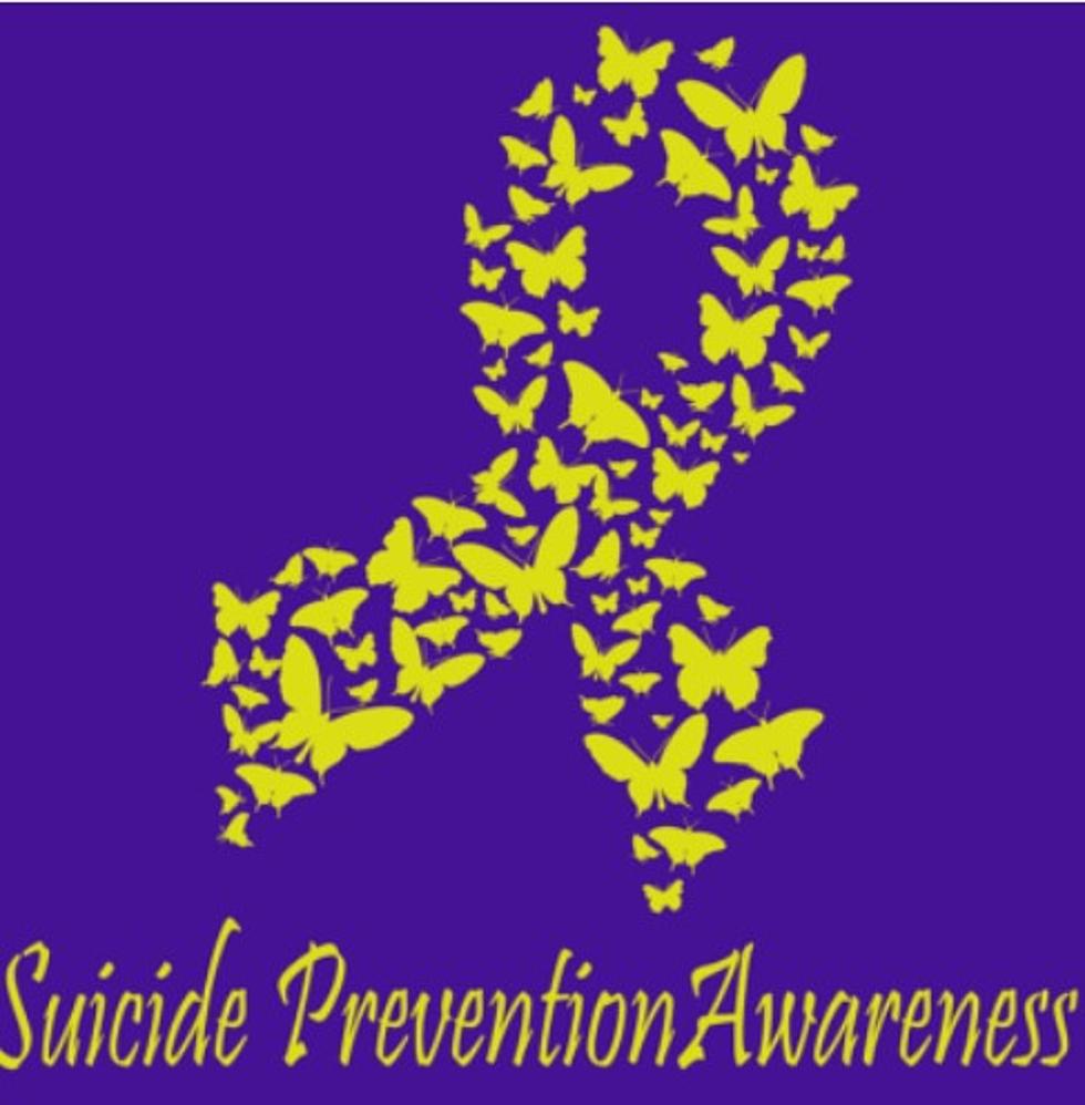 Suicide Prevention Out Of The Darkness Community Walk In Lake Charles