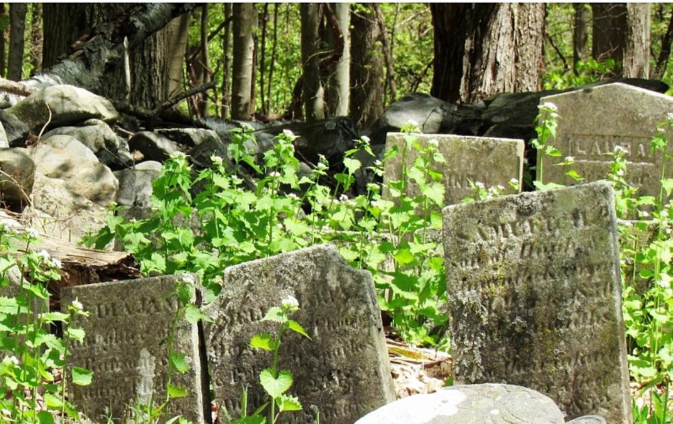 5 Creepy, Odd, And Unusual Cemeteries In Louisiana.