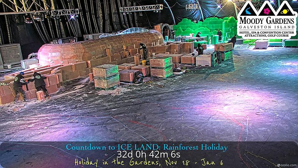 Watch Ice Carvers Create ICE LAND At Moody Gardens On Live Cam!
