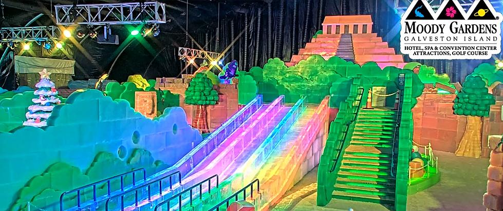 Celebrate Christmas At Moody Gardens ‘Holiday In The Gardens Festivities’