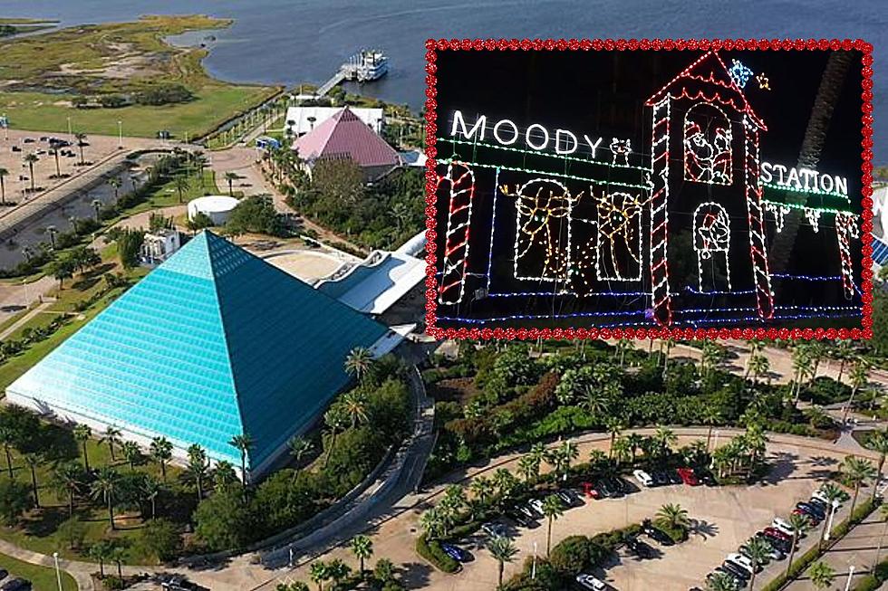 How to Win a Moody Gardens Christmas Getaway