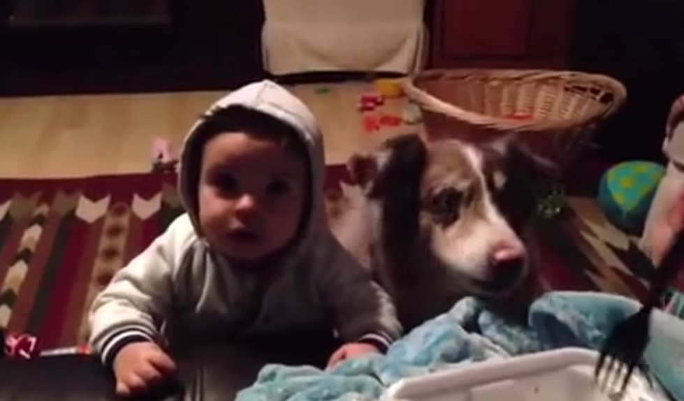 This Baby Can’t Say ‘Mama’ Yet, But Luckily His Dog Can [VIDEO]