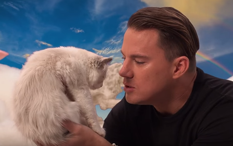 Channing Tatum Says Mean Things to a Kitten, and Somehow it’s Still Adorable [NSFW VIDEO]