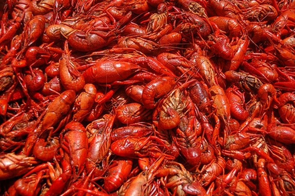 Here’s A Great Recipe For Boiling Crawfish To Start Your Lent Off Right