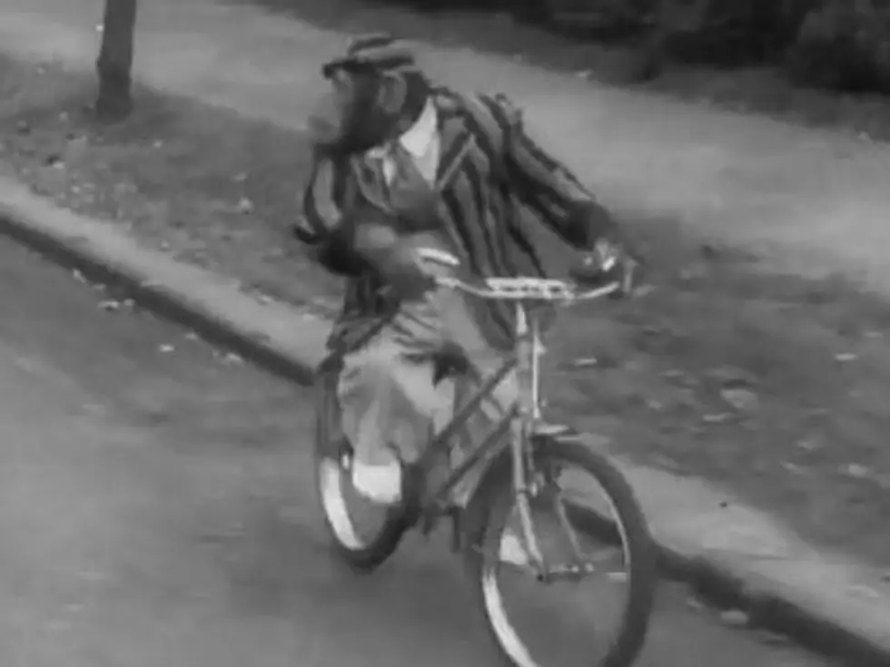 Vintage Chimp Freaks People Out with Bike-Riding Skills [VIDEO]