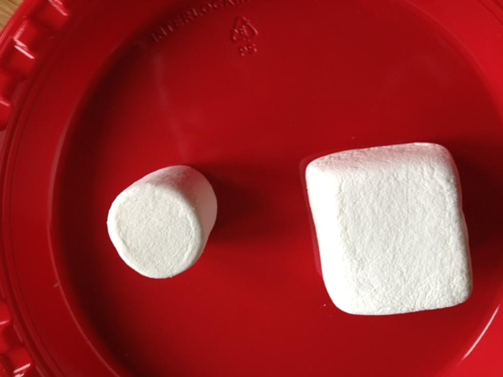 How To Make Neat S’mores With Square Marshmallows