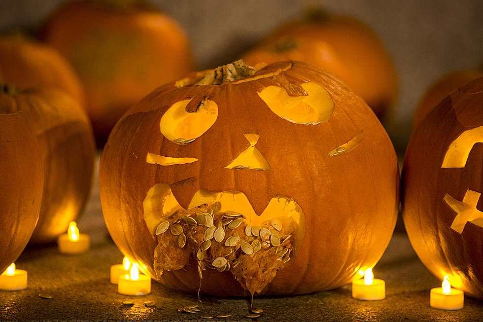 Checking The Internet For Pumpkin Preservation, You Won’t Believe What Works The Best.
