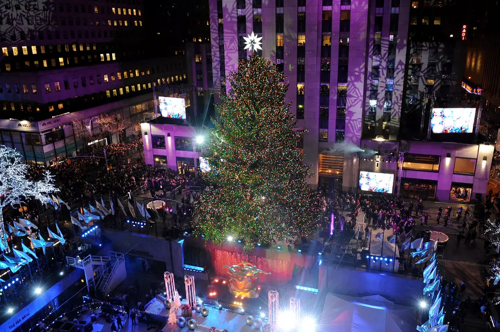 The 2015 Rockefeller Center Tree Is A 78 Foot 80 Year Old Tree See It Come Down And Loaded[Video]