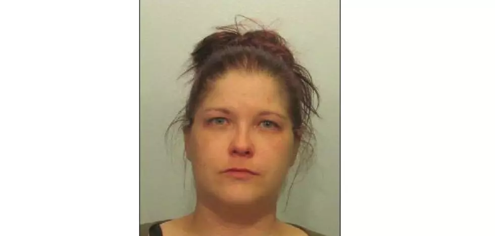 Duluth Police Search For Michelle Marie Mehle &#8211; Their Property Crimes Wanted Person Of The Week