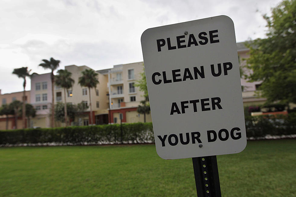 Can Your Dog’s DNA Get You Busted For Poo You Don’t Pick Up?