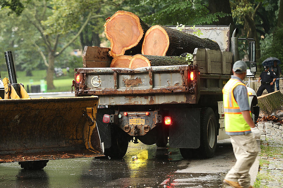 MNDOT To Perform Tree Removal Along Some Duluth Roads