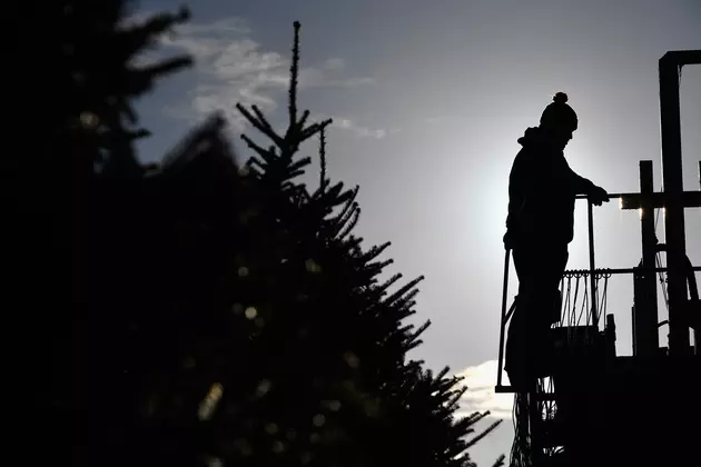 Minnesota Power Searches For This Years&#8217; Community Christmas Tree
