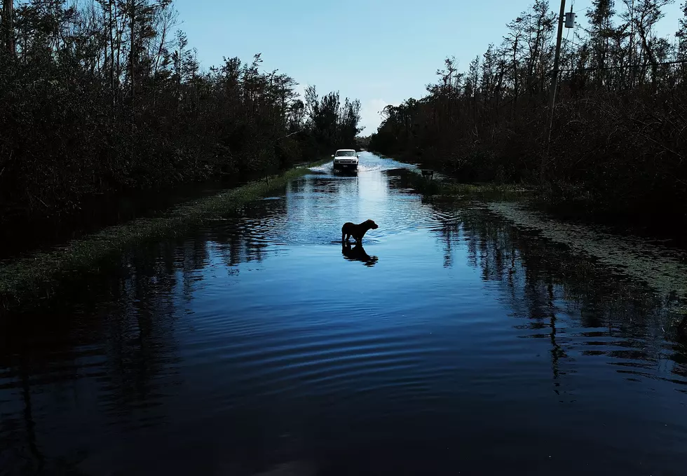 Flooding Closes Sections Of Douglas County Highway W And Z