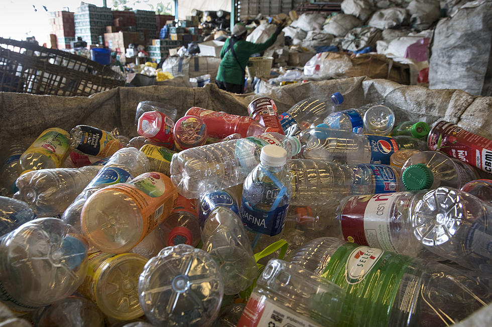 Why Are You Washing Your Recyclables?