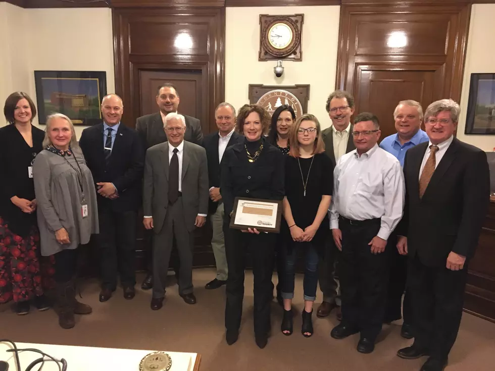 St. Louis County Recognizes Public Health Achievement Award Winners