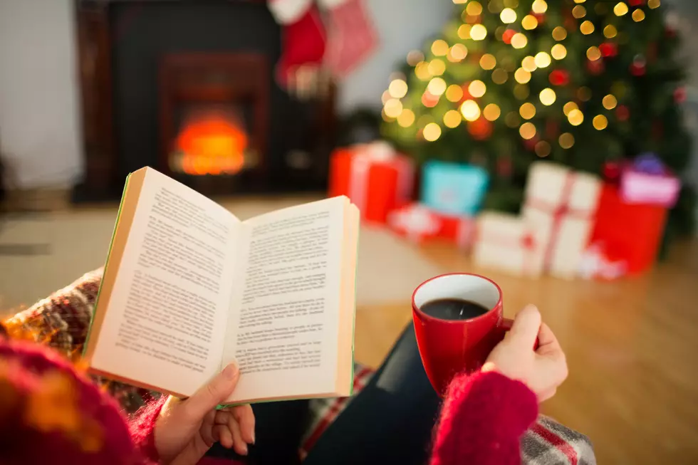 Merry Little Christmas Book Sale Happens Nov 30 + Dec 1