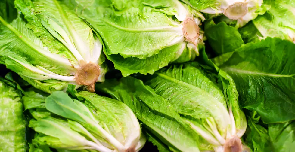 FDA Issues Call To Stop Eating Romaine Lettuce For The Time Being
