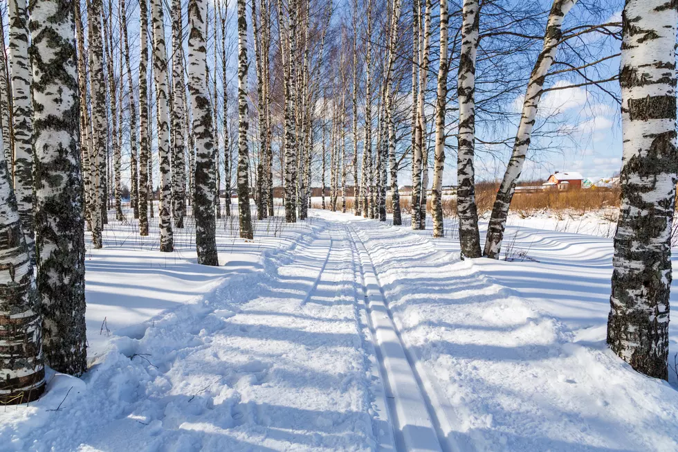 Superior Offers Free Cross Country Trail Use January 21-27