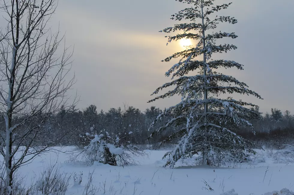 Top Items Needed For A Northland Winter Starter Kit