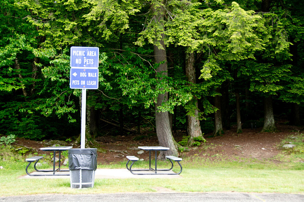 MNDOT’s Floodwood Rest Area To Close Permanently April 5