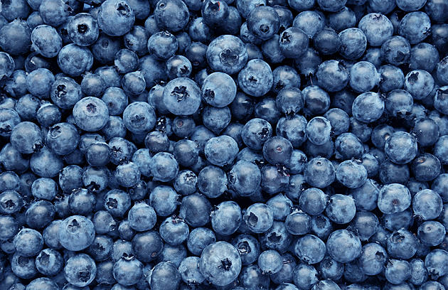 Dole Fresh Blueberries Recalled Due To Cyclospora Contamination