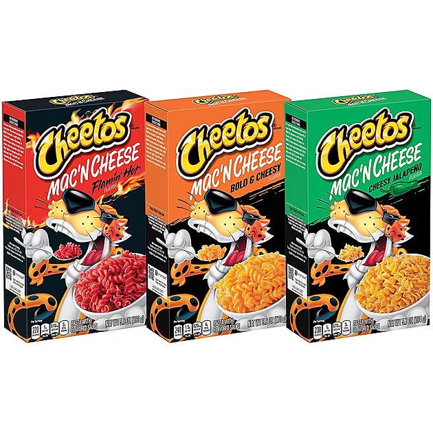 Mac And Cheese Expert Chris Allen Reviews Cheetos New Product