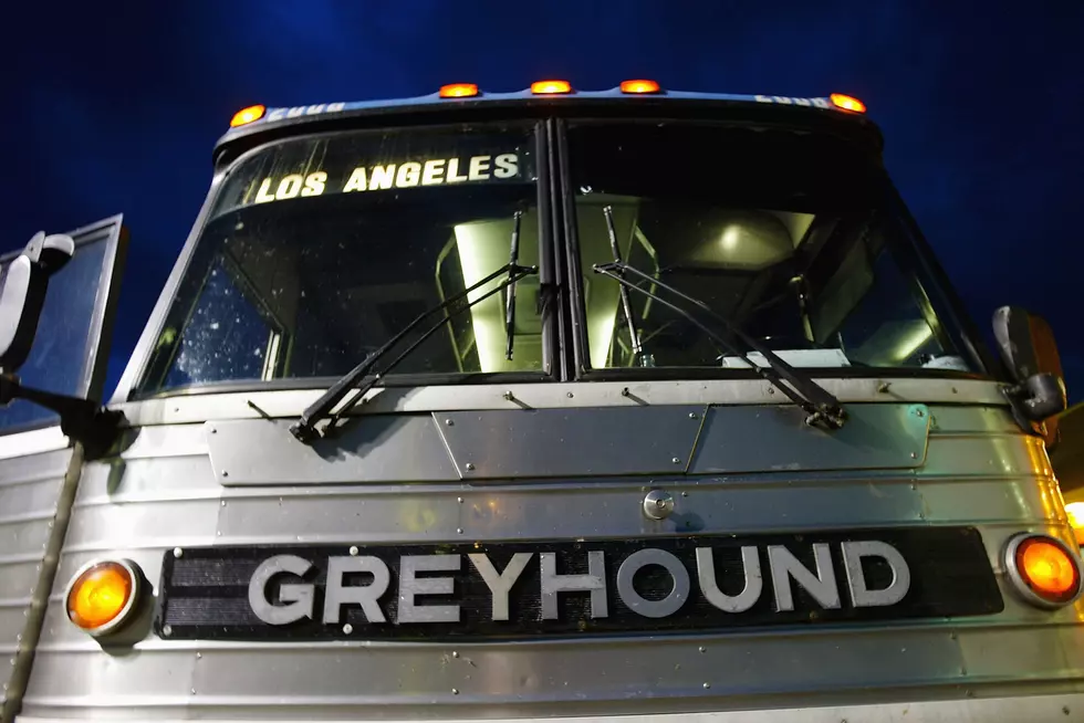 Greyhound Cuts 260 Small Towns And Communities
