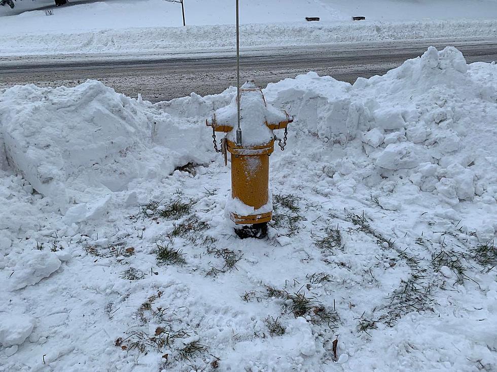 Duluth Fire Department Asks People To Adopt A Hydrant This Winter