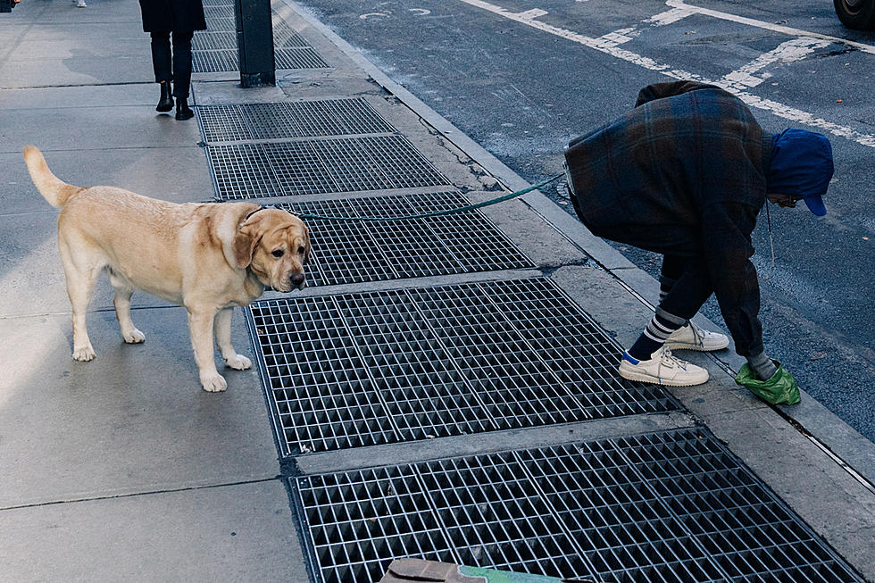 Is It Rude Or Illegal In Duluth To Put Dog Poop In Other People’s Garbage Cans?