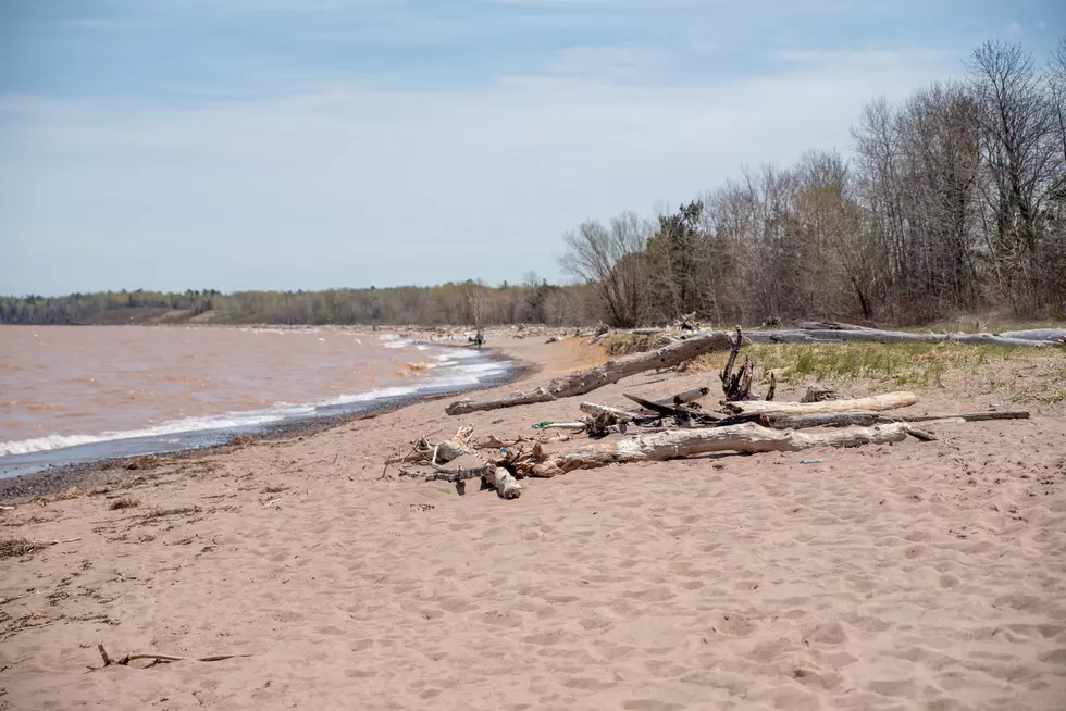 Wisconsin Point beach in Superior, WI along Lake Superior with driftwood
