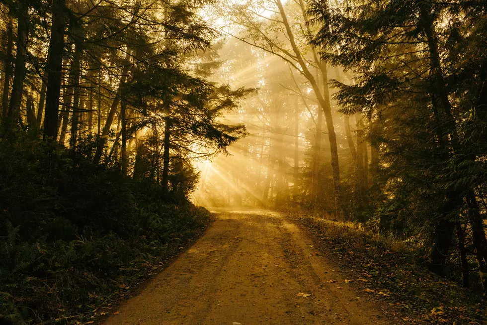 This Haunted Minnesota Road Might Give You Nightmares