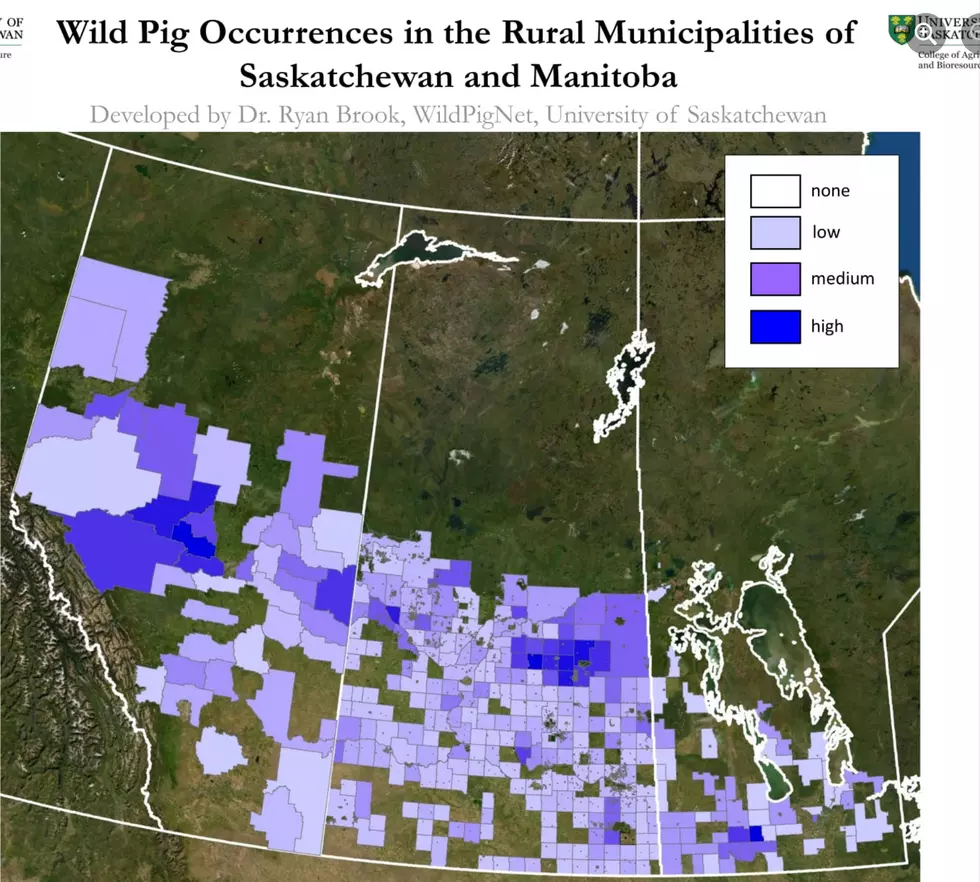 University of Saskatchewan Canadian Wild Pig Research Project