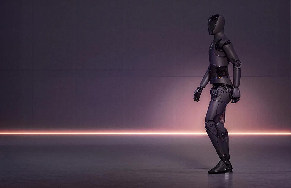Will This Humanoid Robot Take Your Job? Occupations Most at Risk