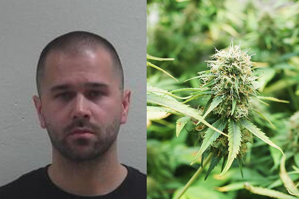 Superior Man Faces Felony Charges For 32-Pound Box Of Marijuana Delivered To Neighboring House