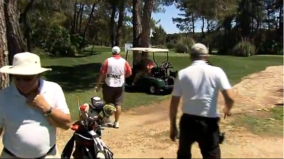 How Not To Drive A Golf Cart – Man Collides With Tree [VIDEO]