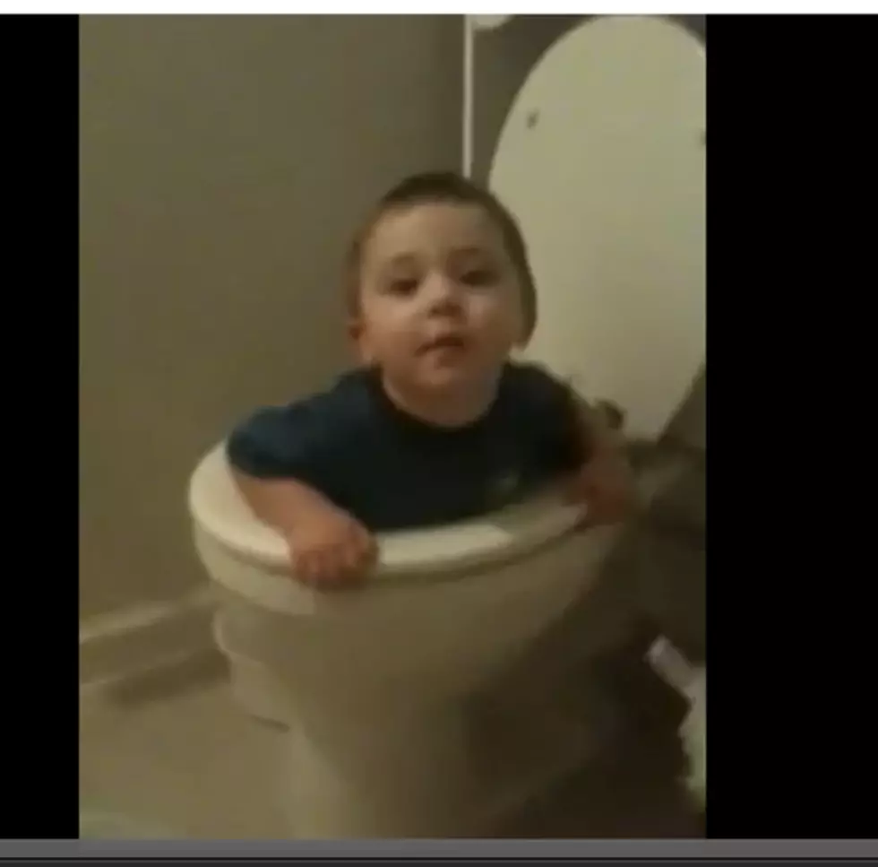 Toddler Mistakes Toilet For Shower