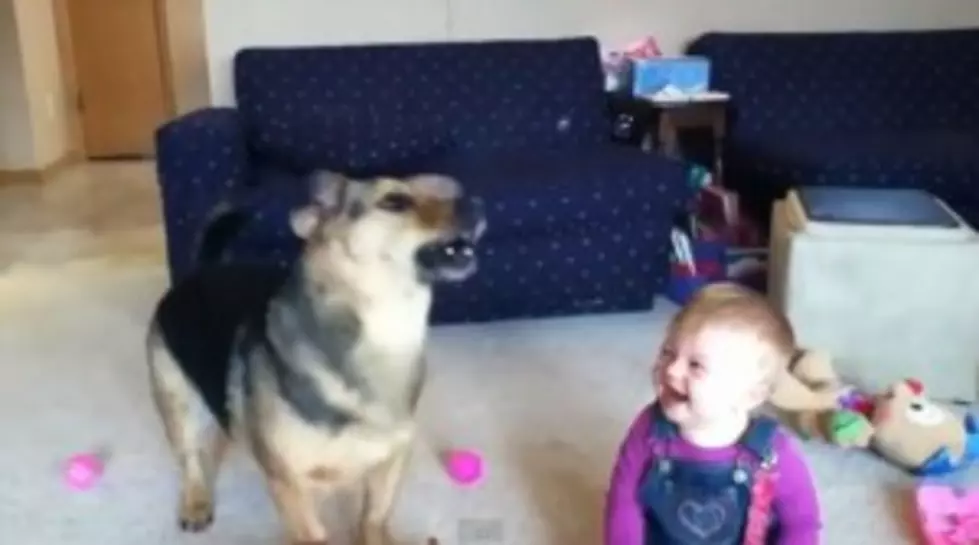 Hysterical Baby Laughs at Dog Popping Bubbles [VIDEO]