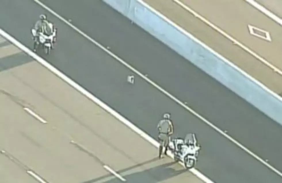 High Speed Puppy Chase on Busy Freeway [VIDEO]