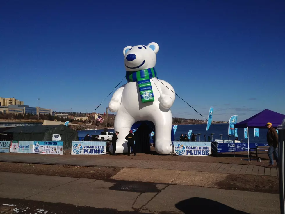Watch the 2014 Duluth Polar Bear Video Stream Recording and See Photos From the Event