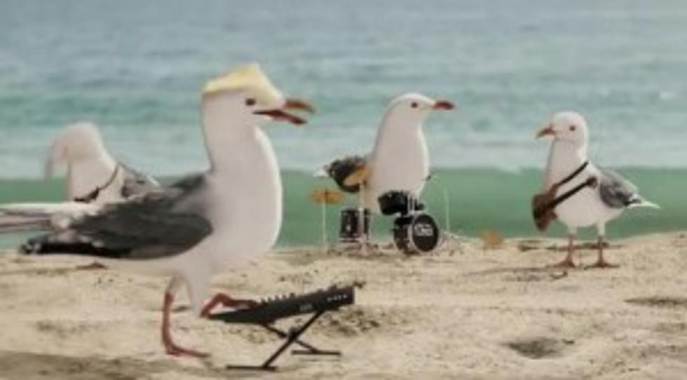 TV Commercial Features a Flock of Seagulls Singing &#8220;A Flock of Seagulls&#8221; [VIDEO]