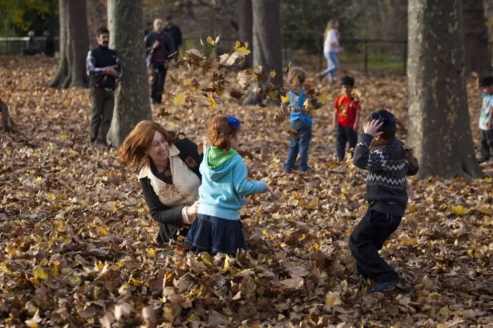 Have Leaves Bagged Up You Need to Get Rid Of? Donate Them to the Rose Garden in Duluth