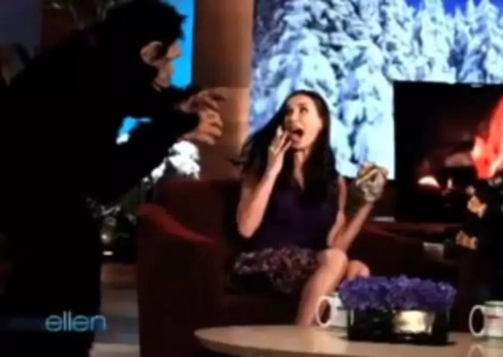 Montage of Celebrities Getting Scared on the Ellen Show [VIDEO]